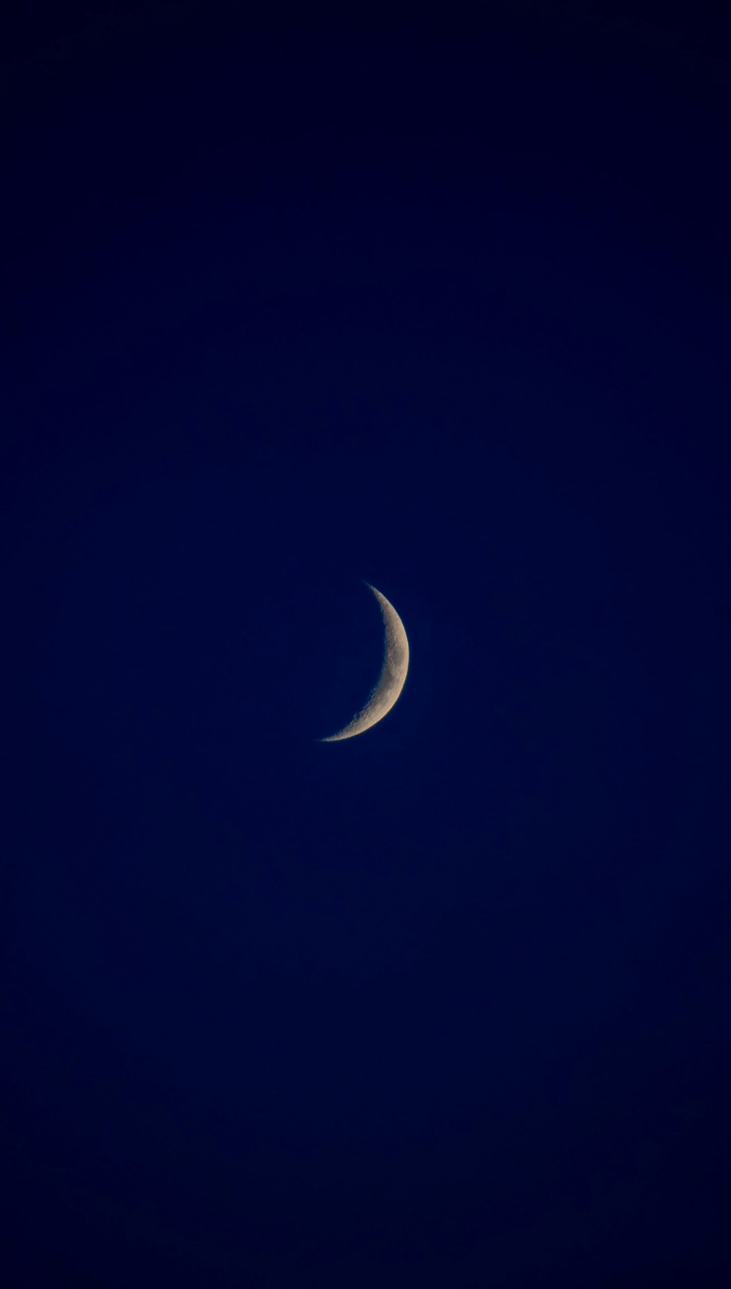 A half moon is seen in the dark sky