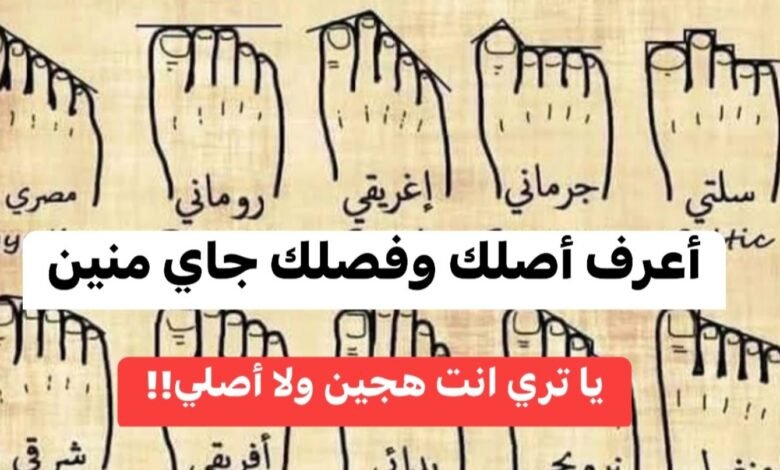 شجرة العائلة