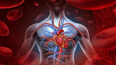 Screenshot 20260222 005830 Gallery