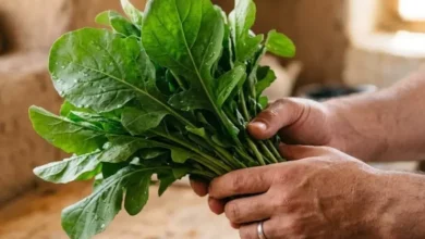 فوائد الجرجير للشرايين والضغط والجنس