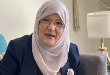 شمس البارودي